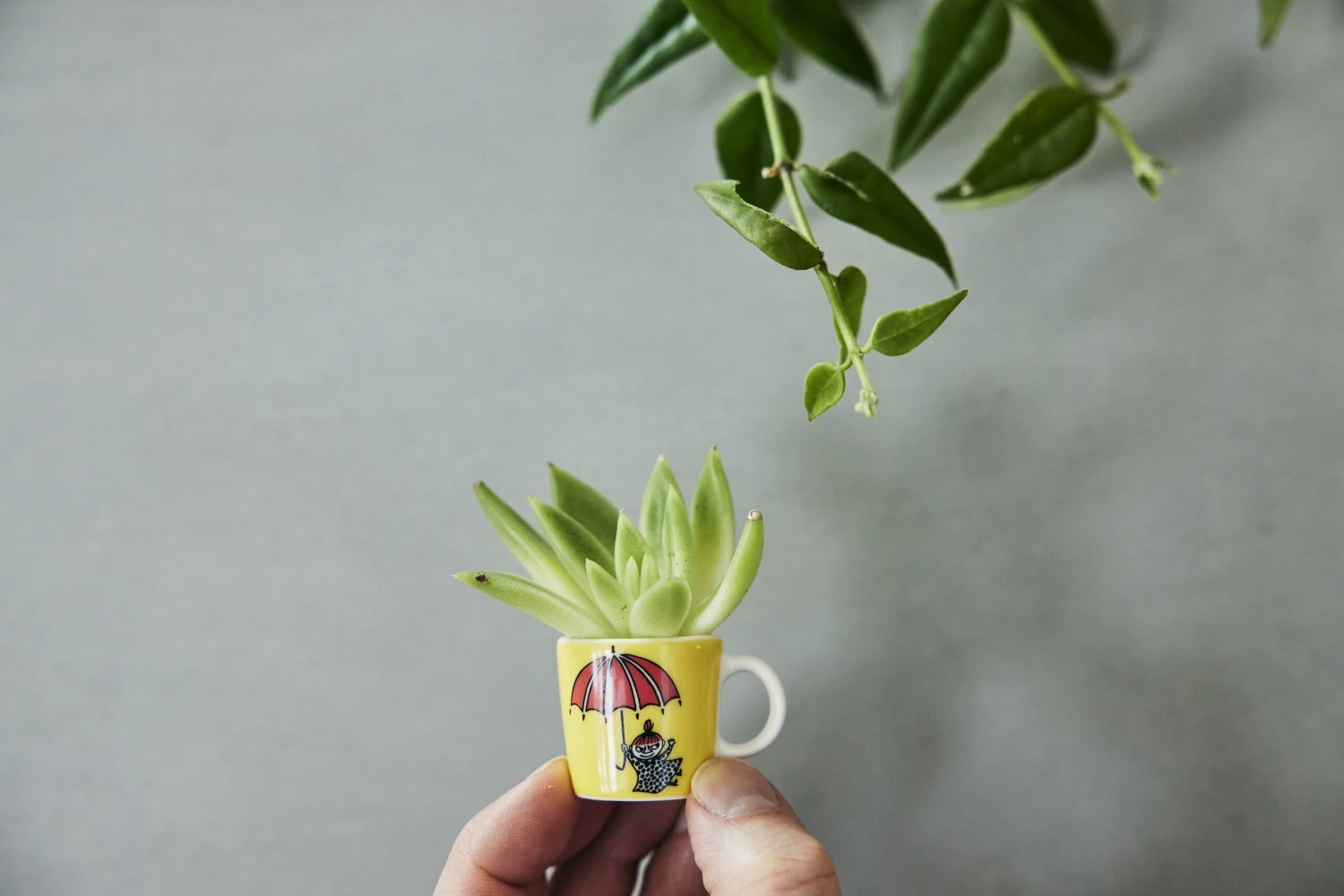 Arabia Moomin Minimokken 6-pack Derde Classic - Afbeelding 3